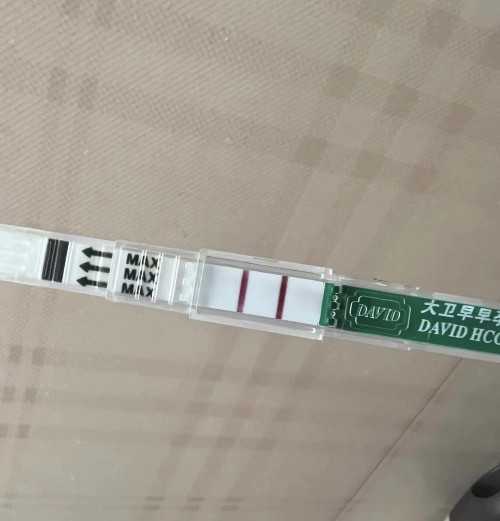 广西地区捐卵与辅助生殖技术指南