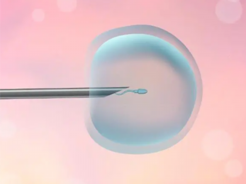 辅助生殖技术：成功率、费用与患者经历深度解析