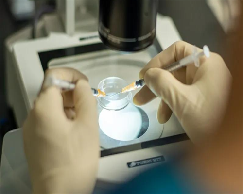 广西借卵助孕与辅助生殖费用解析