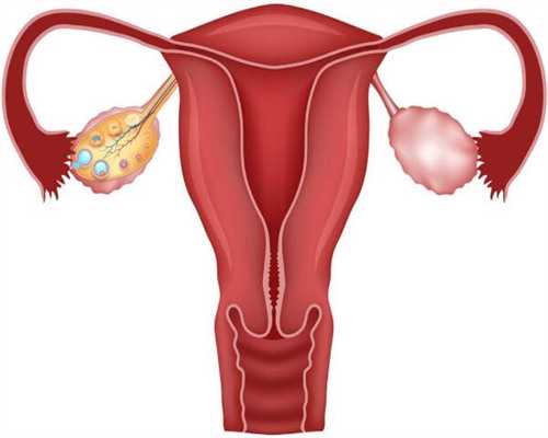 广西供卵试管医院解析：广西妇幼保健院及南溪山医院试管婴儿技术一览