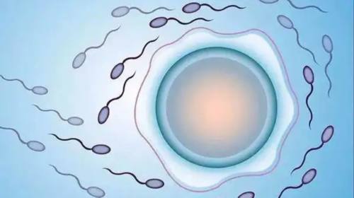 揭秘广西试管婴儿助孕费用与成功率：2026年费用明细与影响因素