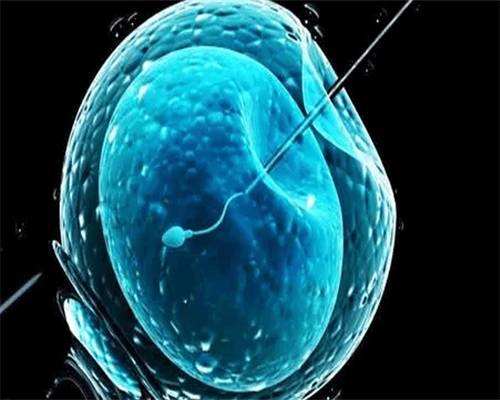 哪个医院能做广西供卵 广西壮族自治区妇幼保健院 ‘四维彩超图女孩儿’