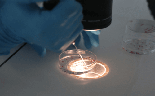 广西优孕助孕：广西妇幼保健院试管婴儿指南