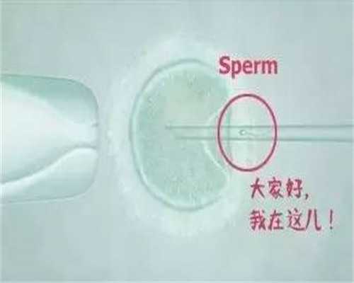 揭秘精子库：捐精流程、补贴及供精助孕全知道