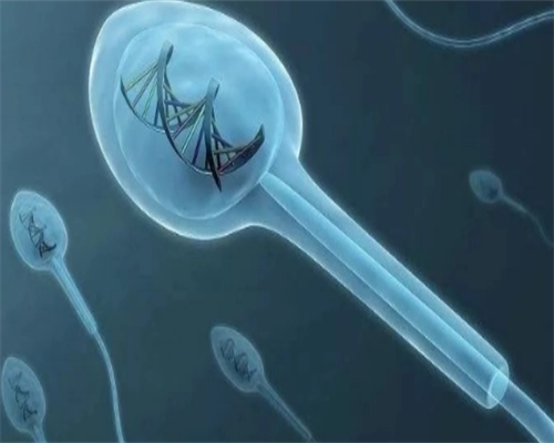 广西试管助孕机构解析：费用、成功率与备孕攻略