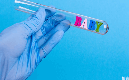 探究试管婴儿的成功之路：案例与过程解析