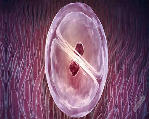 广西辅助生殖技术：揭秘医院成功率与选择经验