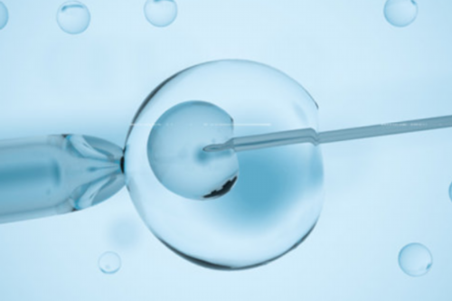 广西包出生 广西壮族自治区人民医院做试管生男孩费用贵不贵？ ‘nt图像看男