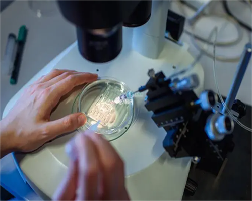 广西招捐卵电话 广西壮族自治区妇幼保健院可以做几代试管婴儿? ‘做nt看男女