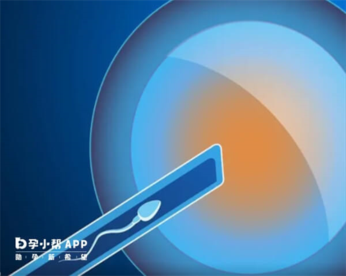 广西试管助孕指南：广西壮族自治区人民医院试管费用及成功率详解