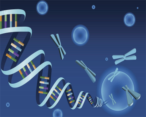40岁高龄试管助孕：成功率、周期与应对策略