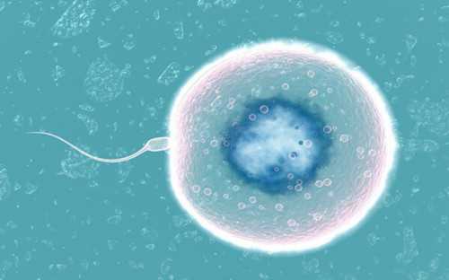 广西代怀助孕费用与医疗指南