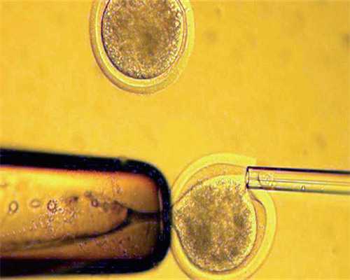 探寻广西生殖医疗中心：便捷路线与就医指南