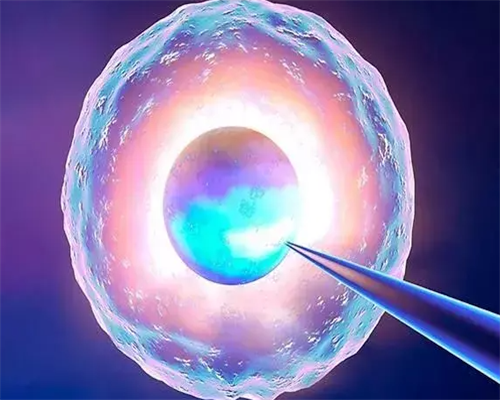 广西产假2026年新规定?广西产假是多少天?