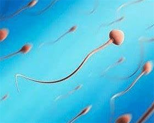 南宁试管助孕费用评估及成功率分析