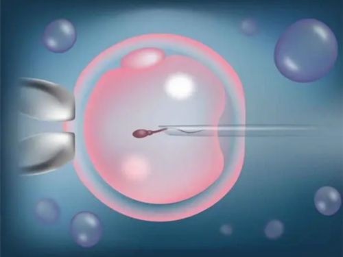 广西供卵机构可靠吗 广西壮族自治区人民医院 ‘一个半月b超怎么看男女’