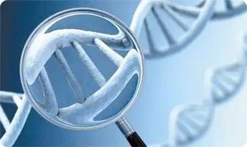 2026南宁借卵生子医院排名一览！供卵试管成功率参考指南