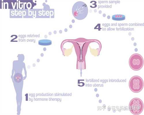 南宁正规捐卵指南：广西人民医院与妇幼保健院试管婴儿成功率及费用解析