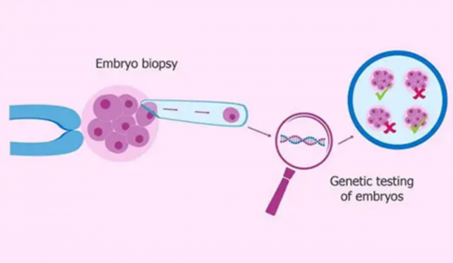 广西闭经后供卵 广西壮族自治区人民医院试管成功率： ‘生仔和生女症状’
