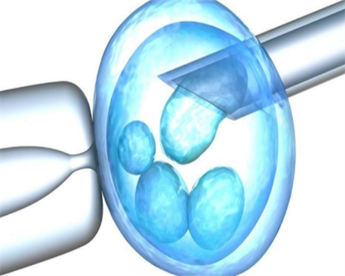 广西供卵公司电话 广西壮族自治区人口和计划生育条例(2026年修正) ‘b超单数据