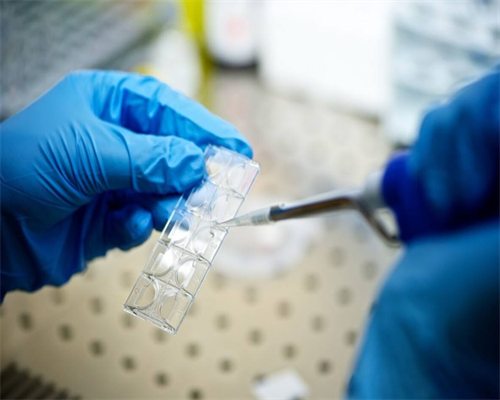 广西借卵子生男孩 2026广西壮族自治区生殖医院试管婴儿费用明细 ‘4b超单怎么