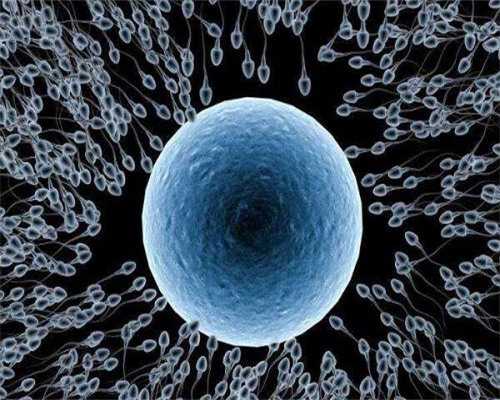 南宁试管助孕：二代试管技术如何助您实现生育梦想