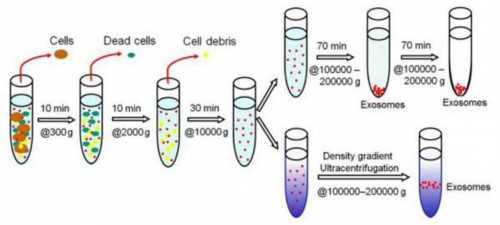南宁哪几家医院可以助孕卵巢早衰？借卵生子试管全流程解析