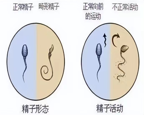 广西试管助孕公司可靠吗？多家医院试管成功率揭秘