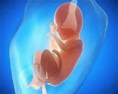 广西供卵助孕需要了解的检查事项