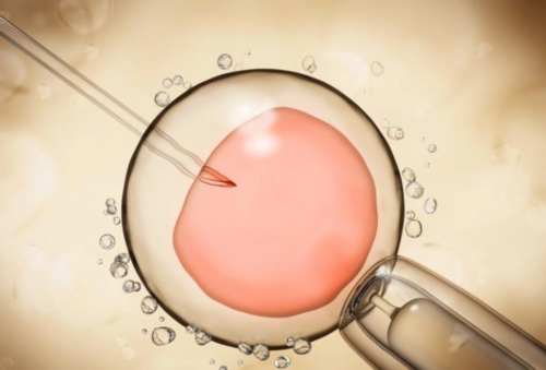 广西代怀孕费用 广西壮族自治区人民医院试管费用： ‘孕三个月肚型看男女’