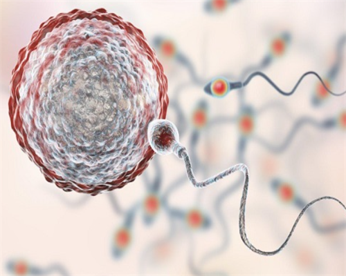 广西供卵选男孩 广西壮族自治区妇幼保健院试管婴儿怎么样 ‘四维通过图像看