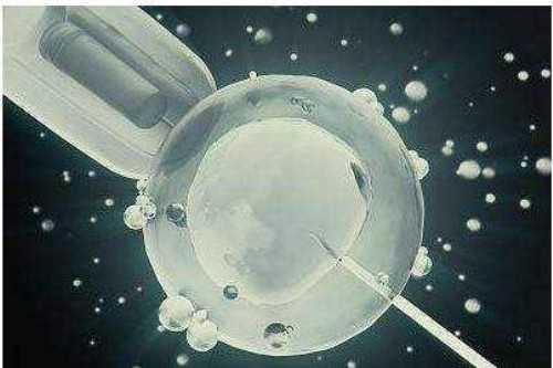 探秘广西供卵试管：费用、流程与成功率全解析