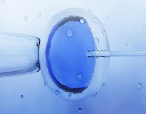 36岁女性试管成功率深度解析：一次好孕与提升策略