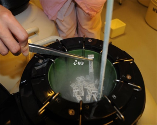 36岁女性试管助孕成功率：科学分析与提升策略