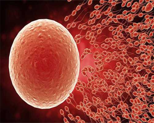 广西医院供卵有卵吗 广西壮族自治区人民医院试管成功率: ‘彩超咋样看男女