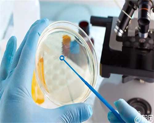 人工授精与南宁试管助孕：助孕方式的深度解析