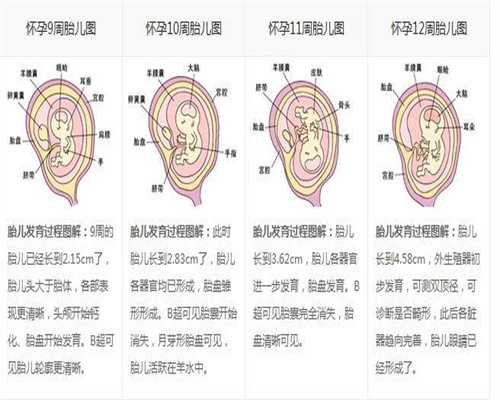 代孕保健别忽视这些小细节_上海招聘信息最新招