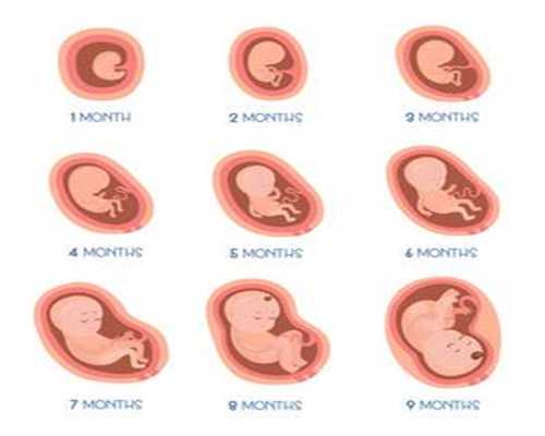 孕晚期的3个重点注意事项_人工受孕过程高清实拍