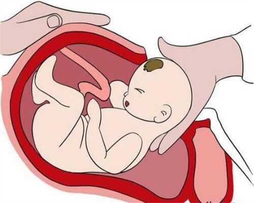 怀孕期间猪:这种菜民间传言说危害大不能吃，其