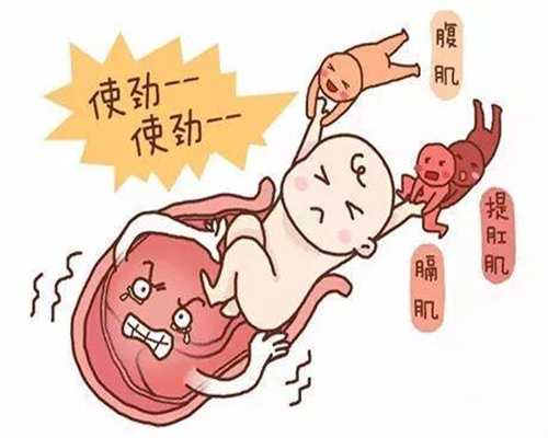济南医院电话:代孕知识点，流产后没多久又代孕
