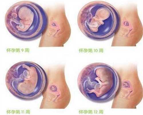 潍坊青州巾帼干部刘晓玮：怀孕8个月仍坚守疫情