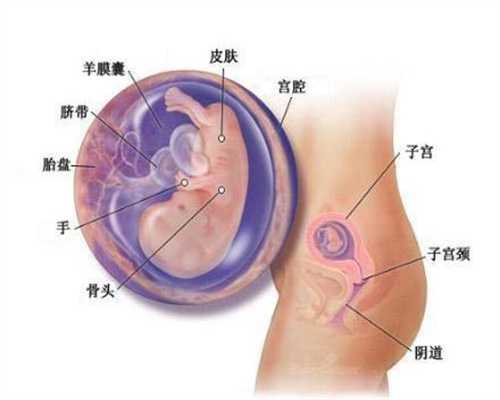 孕期身体浮肿是常见问题吗2点带你了解孕期水肿