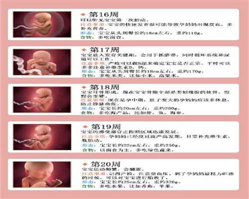 郑州代妈招聘,怀孕后肚子小是胎儿发育不好其他