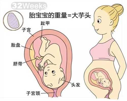 深圳助孕哪家好,孕妇夏季饮食注意事项