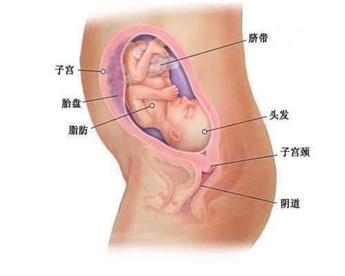 武汉试管助孕,孕晚期让孕妈痛苦不堪的5件事，一