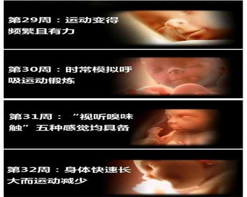 广州助孕中心,这个检查，可能影响宝宝脑部发育