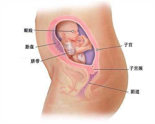 怀孕10个月，准爸爸必学的孕期指南！