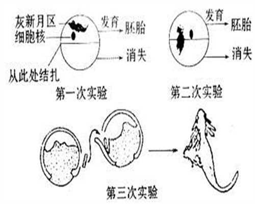 广州试管助孕,怀孕期间真的不能装空调吗孕妇吹