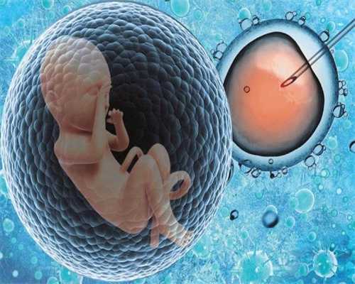代孕产子的协议怎么写_两个卵泡排一前一后排能够存活多长时间