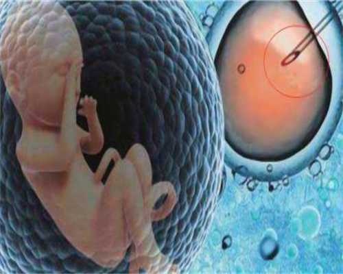 代孕2个孩子大概多少钱_有卵黄囊说明胚胎好吗